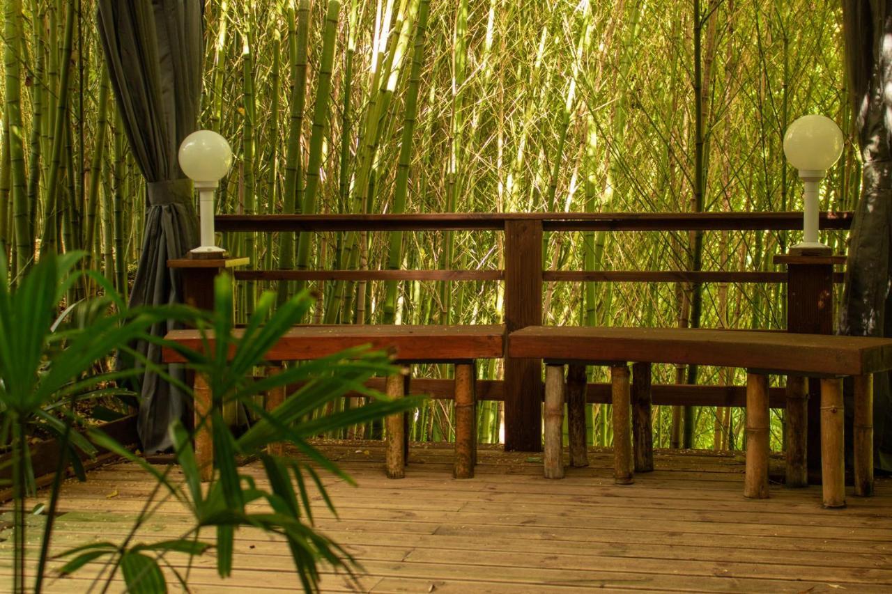 Quinta Da Mo Guest House ฟูร์นัส ภายนอก รูปภาพ