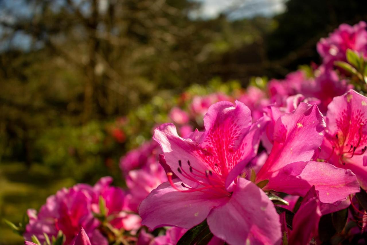 Quinta Da Mo Guest House ฟูร์นัส ภายนอก รูปภาพ