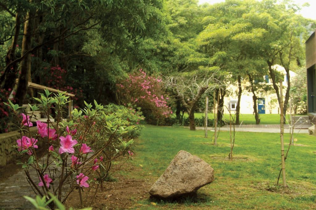 Quinta Da Mo Guest House ฟูร์นัส ภายนอก รูปภาพ