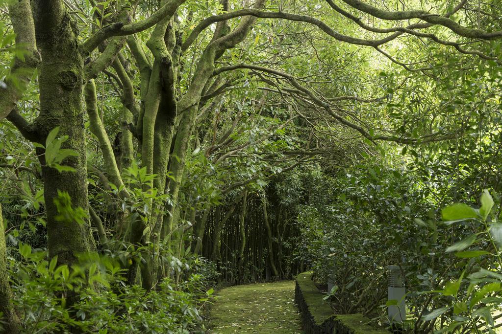 Quinta Da Mo Guest House ฟูร์นัส ภายนอก รูปภาพ